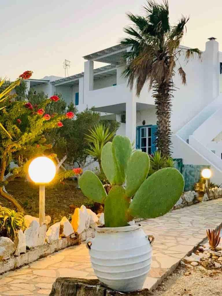 Stavros Studios Логарас Экстерьер фото